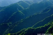 终南山翠色欲流，肆弦壹声如裂帛是什么生肖,警惕虚假宣传,全面解答解释落实